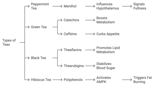 Best Teas for Appetite Control and their ingredient's benefits
