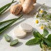 aloe vera leaves, ginger root, chamomile flowers, and peppermint sprigs.